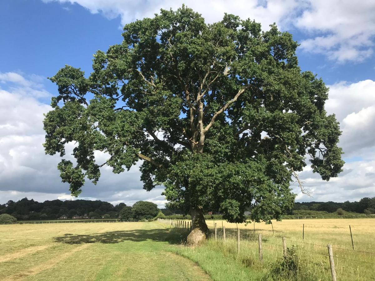 Redbrook Farm Bnb - Gateway To The New Forest Fordingbridge Exterior photo