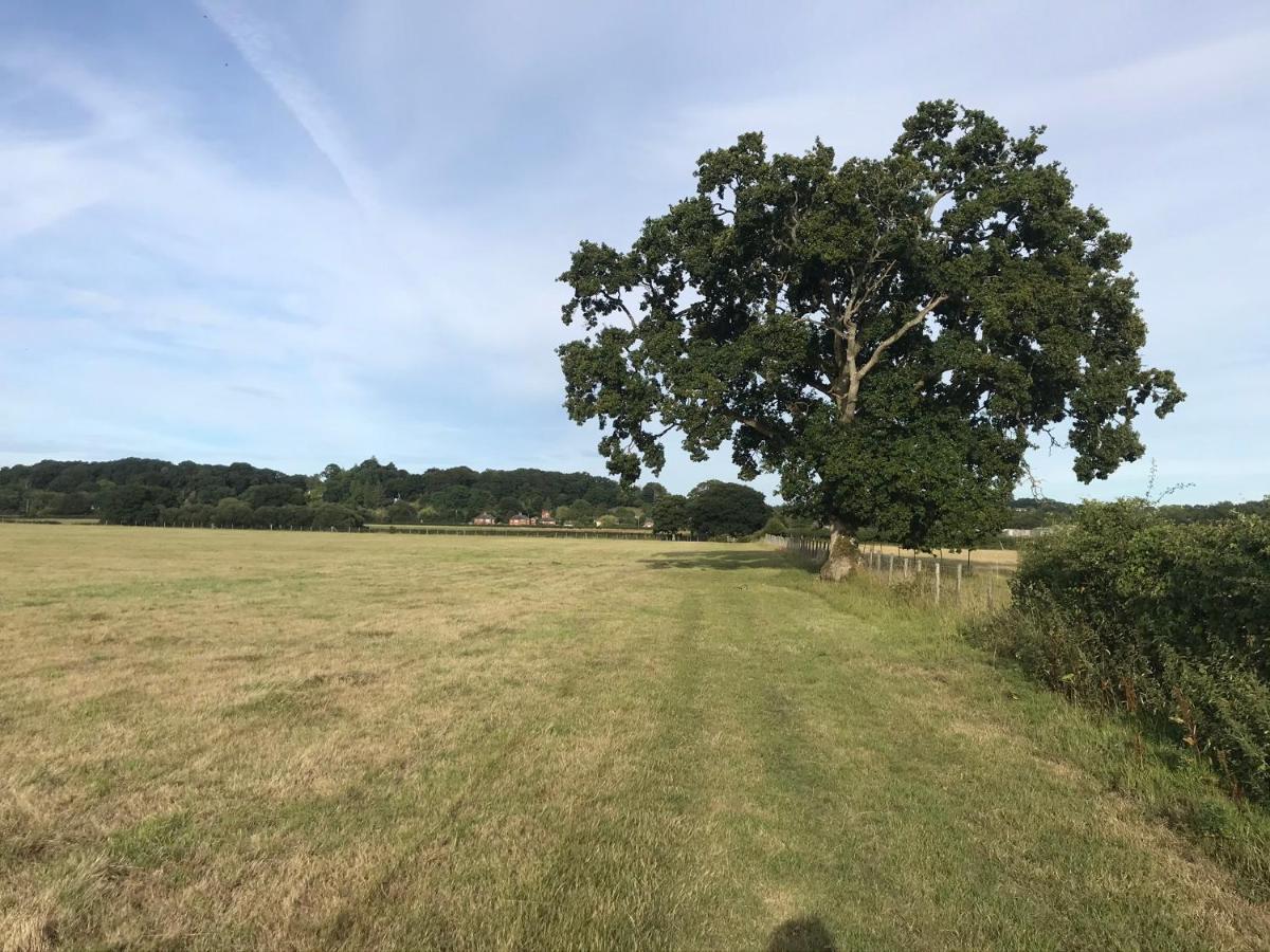 Redbrook Farm Bnb - Gateway To The New Forest Fordingbridge Exterior photo