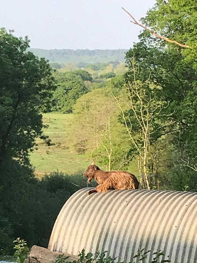 Redbrook Farm Bnb - Gateway To The New Forest Fordingbridge Exterior photo